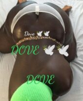 DOVE